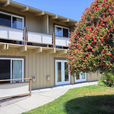 Silver Surf Motel Сан-Симеон Экстерьер фото